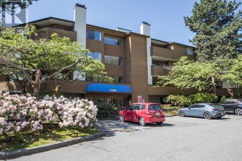 319 7295 MOFFATT ROAD Richmond BC V6Y3E5