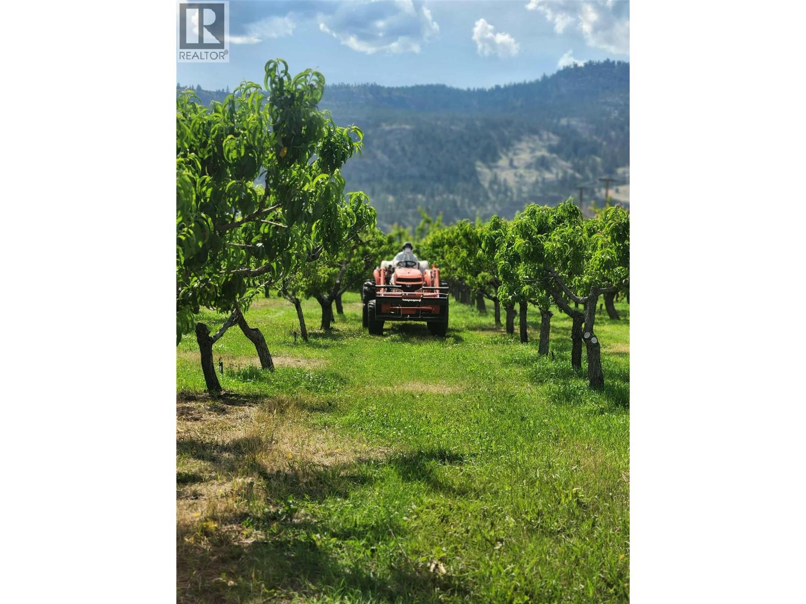 9701 Jones Flat Road