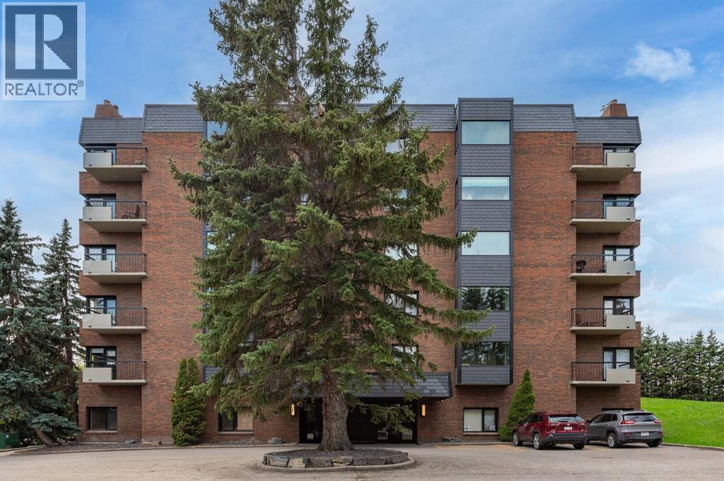 4N, 222 Eagle Ridge Drive SW