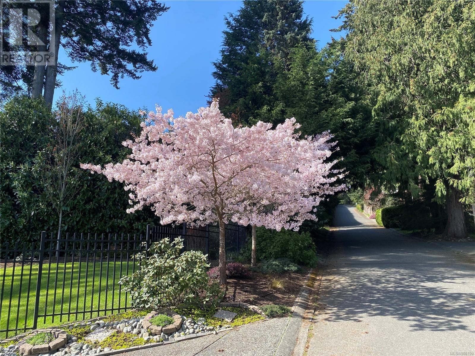 2220 Arbutus Rd