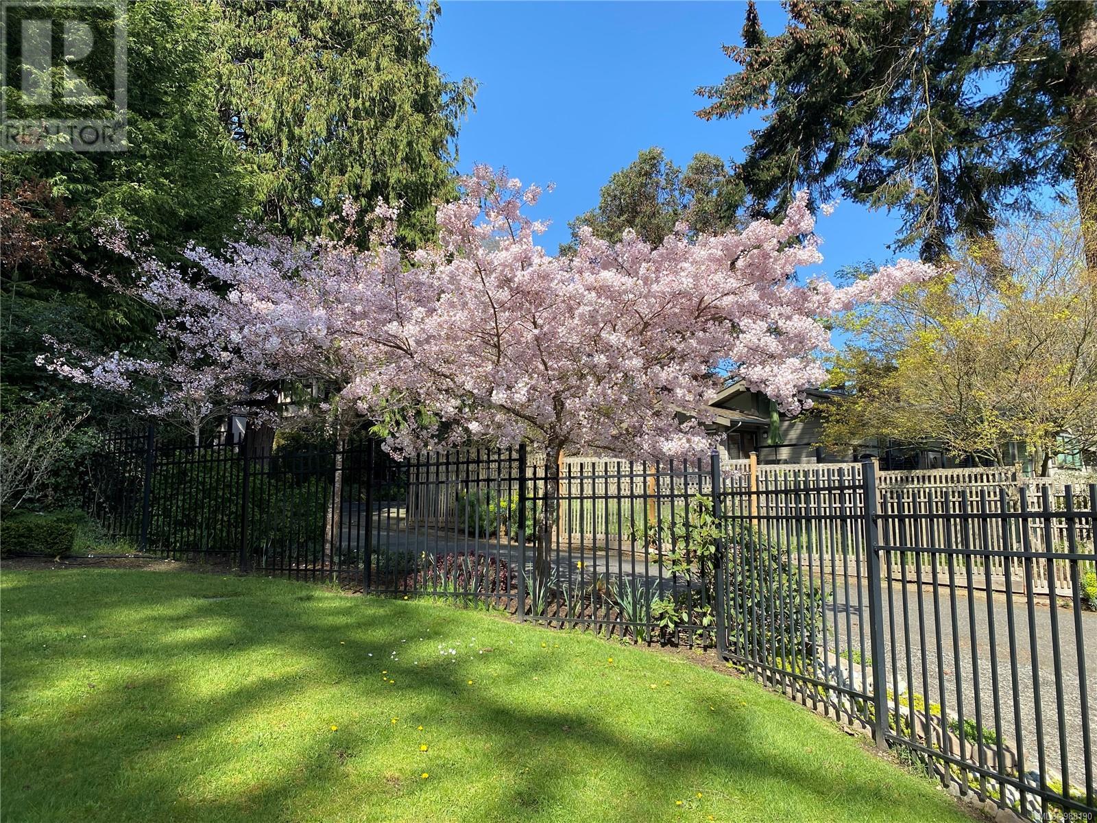 2220 Arbutus Rd