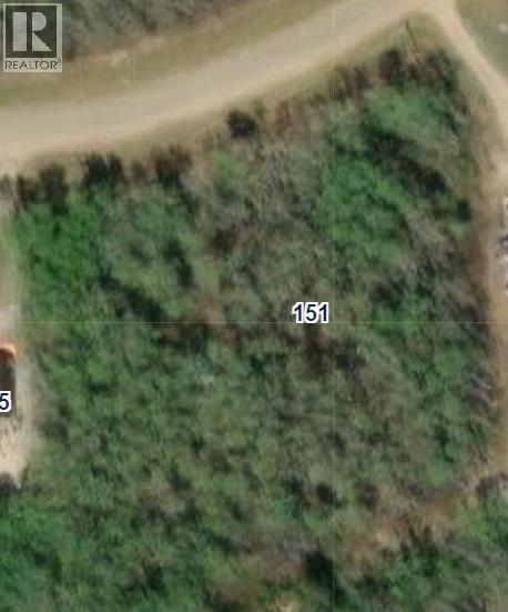 151 Poplar Drive