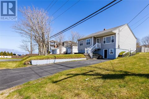 19 Airport Heights Drive St. John's NF A1A4W8