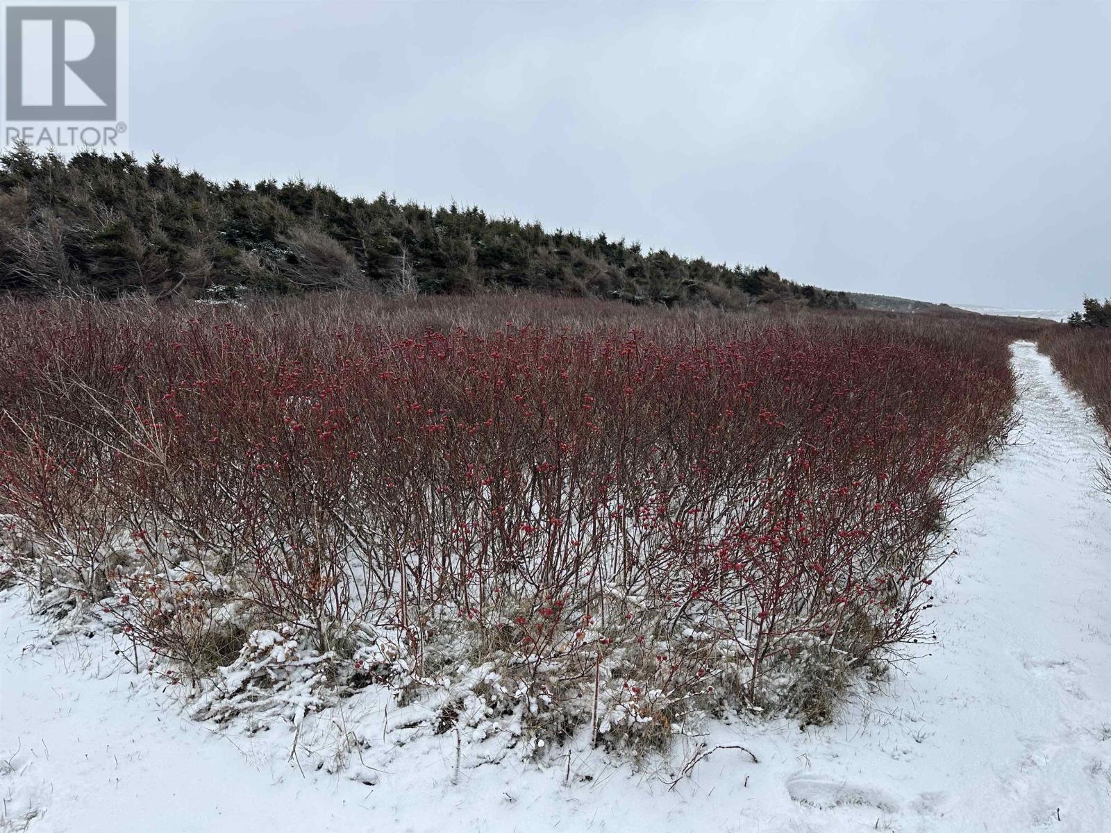 Lot 2 Shipwreck Lane