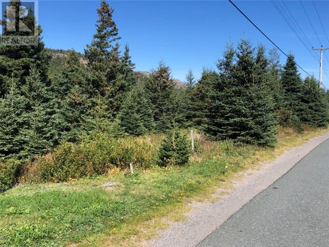 147 - 149 Seaforest Drive Cupids NF A0A2B0