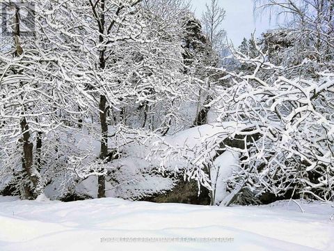 384 BIG CROSBY LAKE ROAD Rideau Lakes ON K0G1X0