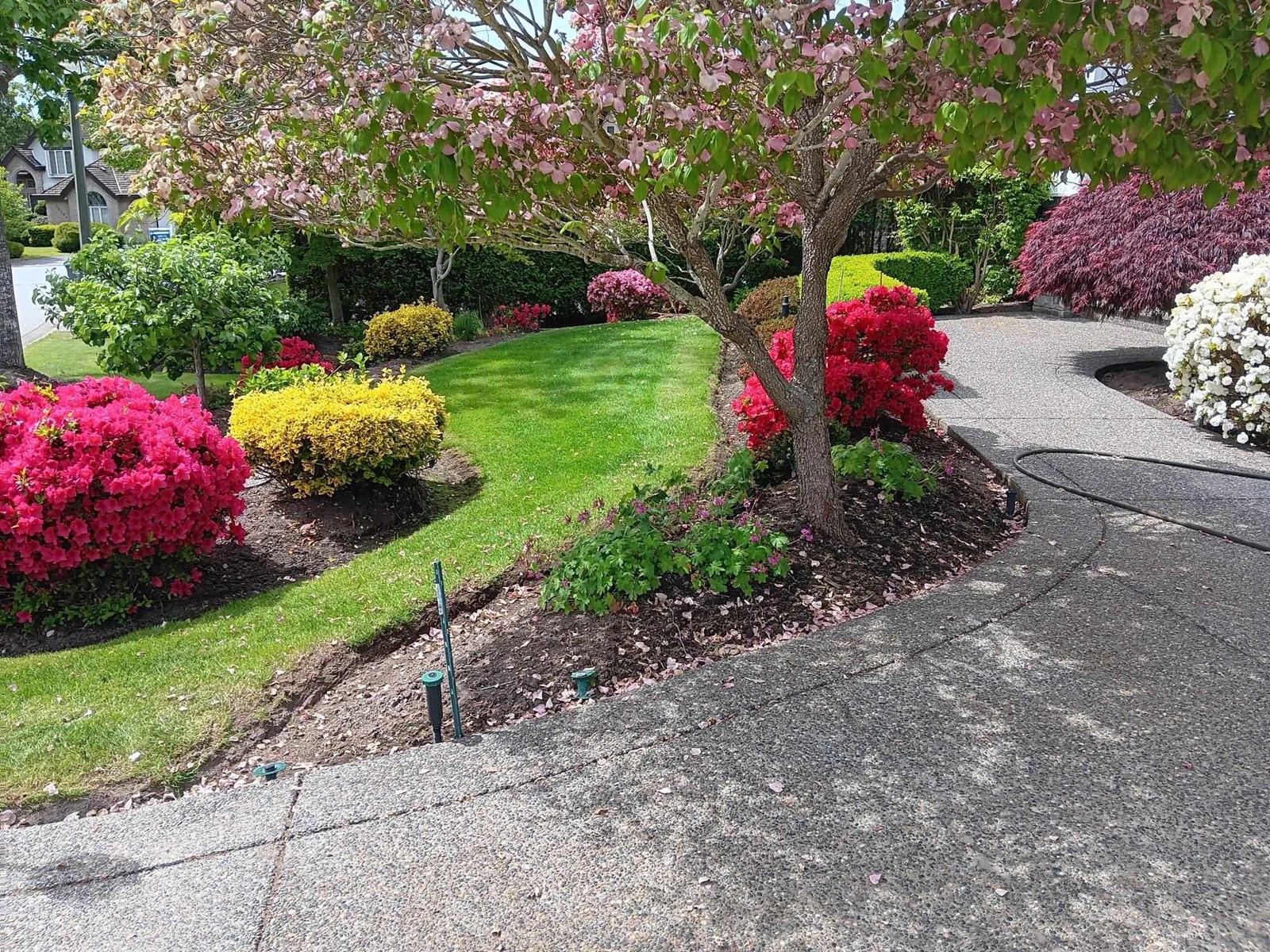 16221 MORGAN CREEK CRESCENT