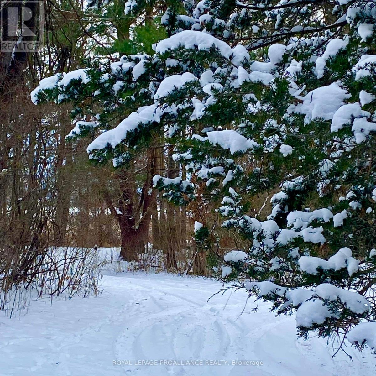 1166 THOUSAND ISLANDS PARKWAY