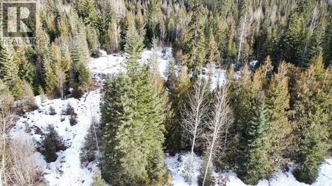 801 Bobbie Burns Road Lumby BC V0E2G4