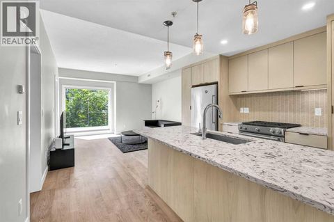 206, 3375 15 Street SW Calgary AB T2T4A2