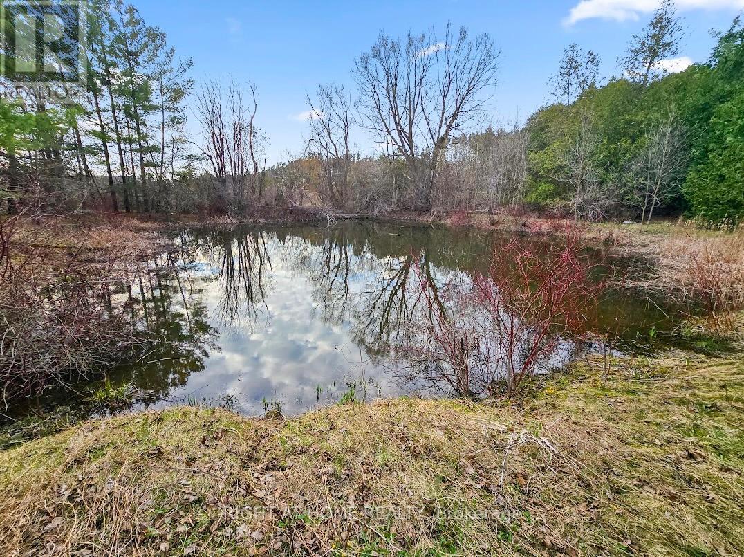 16568 MOUNT HOPE ROAD