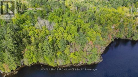3776 B BUCKSHOT LAKE ROAD Addington Highlands ON K0H2M0