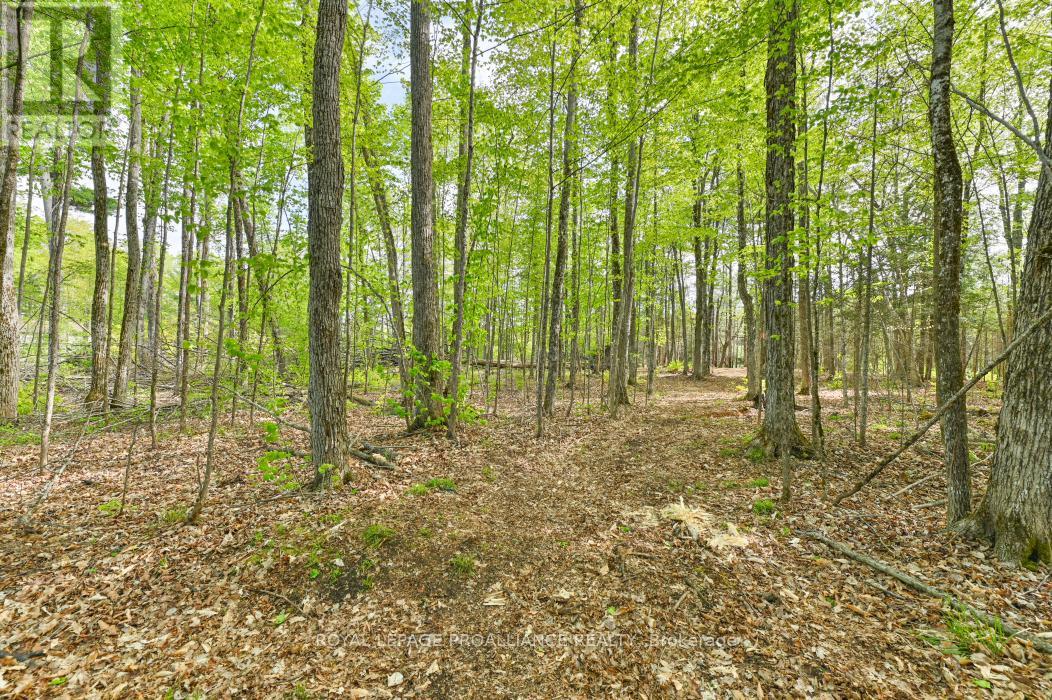 3776 B BUCKSHOT LAKE ROAD