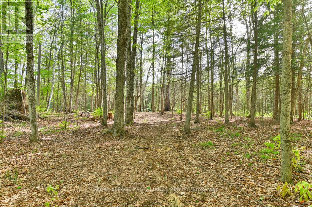 3776 B BUCKSHOT LAKE ROAD