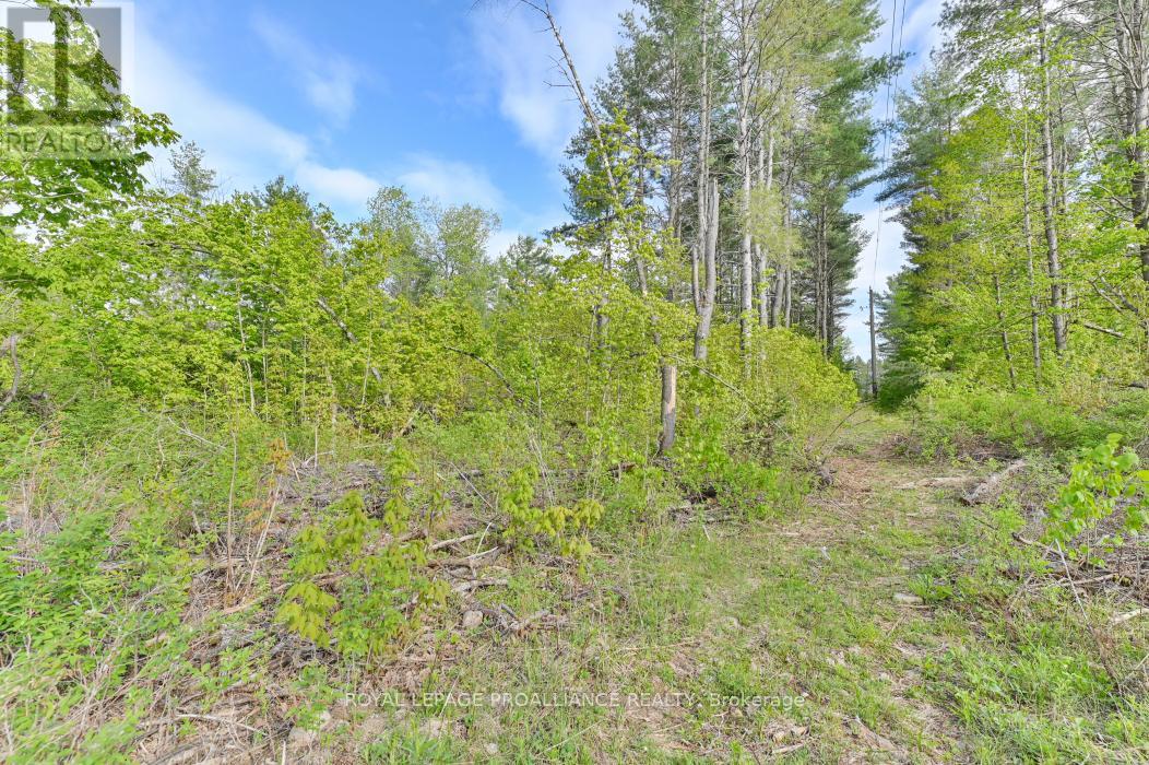 3776 B BUCKSHOT LAKE ROAD