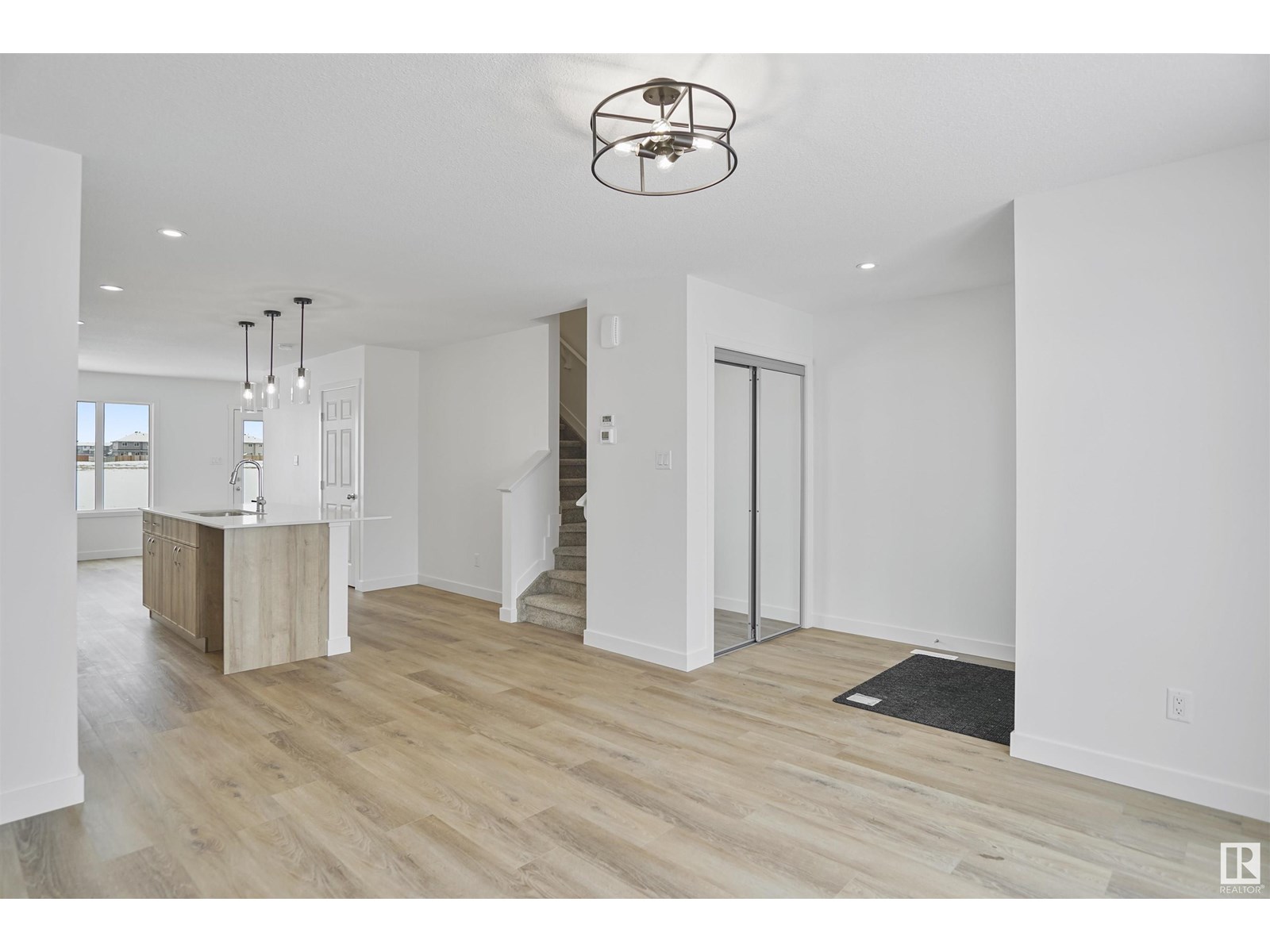 53 Ficus WY