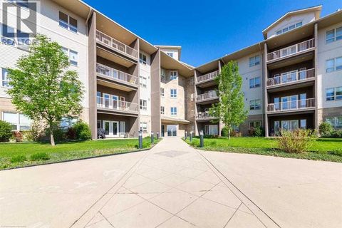 107, 4102 69 Avenue Lloydminster AB T9V2H9