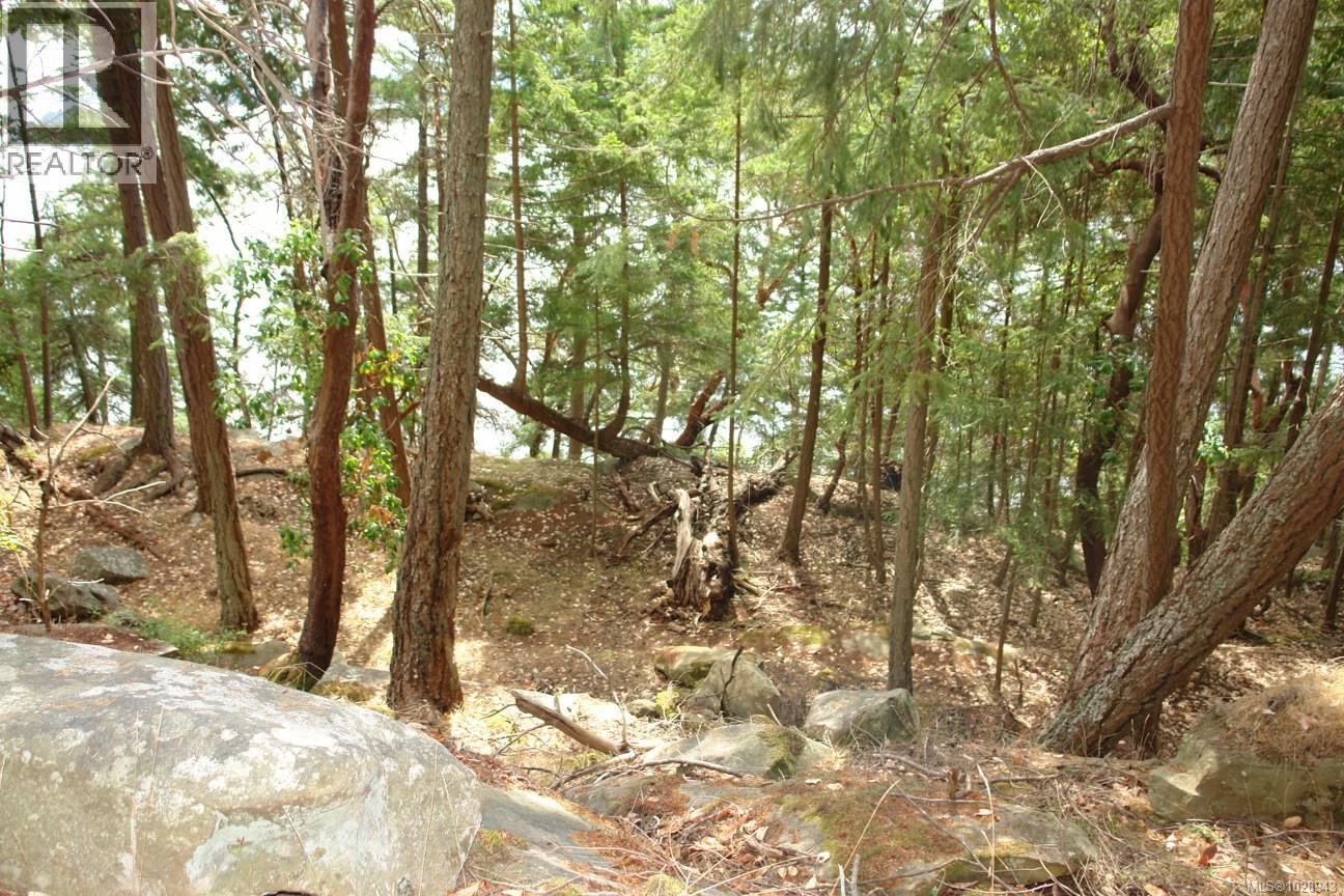 106 Halibut Hill Rd