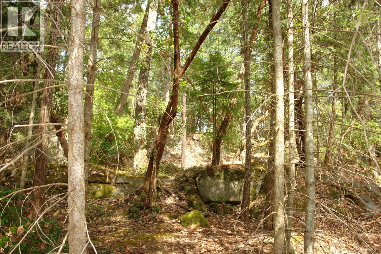 106 Halibut Hill Rd