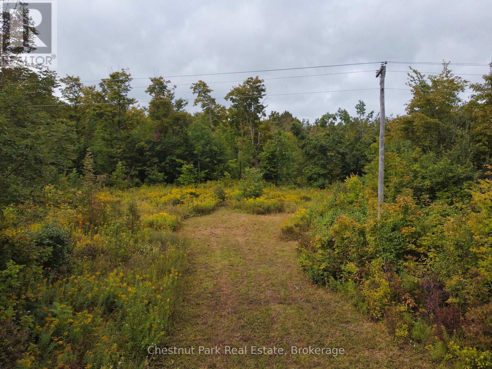 249 WRIGHTS CRESCENT