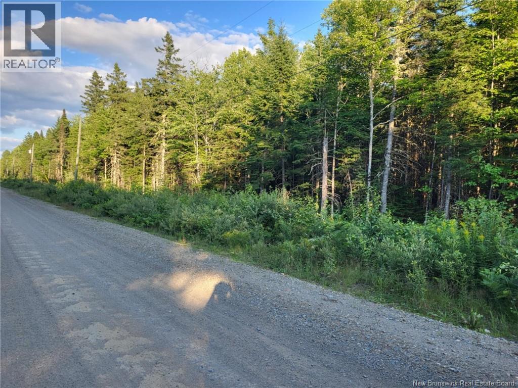 Lot L Zionville Road - Photo 2