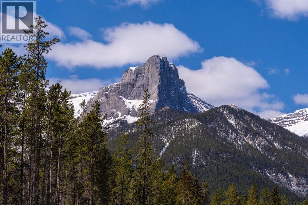 206, 10 Cascade Ridge