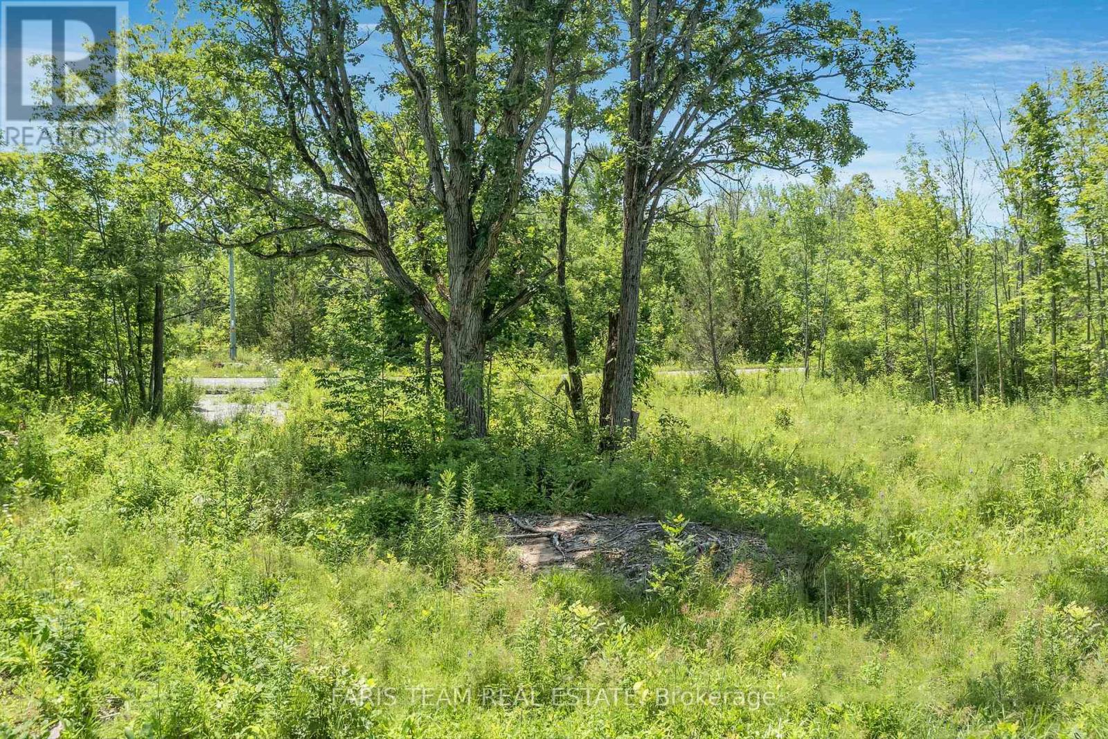 88 MUSKY BAY ROAD