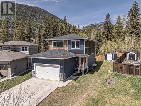 1317 CHERRYWOOD Boulevard Sparwood BC V0B2G2