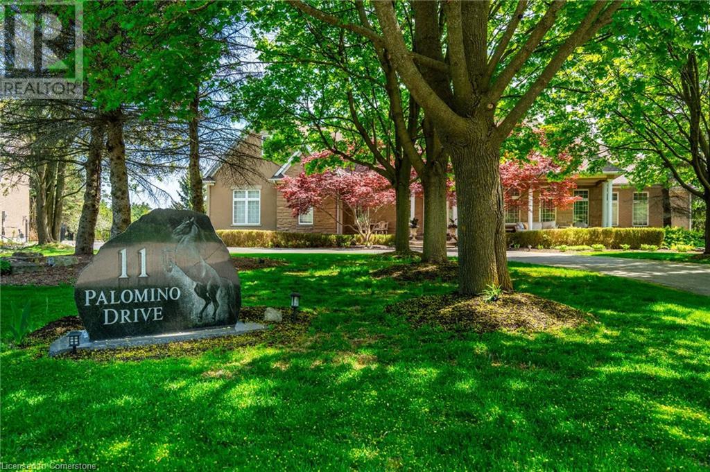 11 PALOMINO Drive