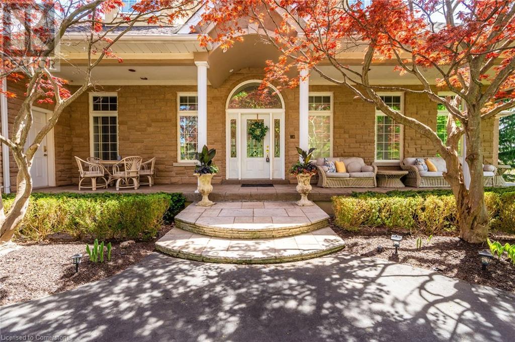 11 PALOMINO Drive