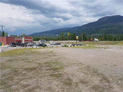 B101 ASPEN Drive Sparwood BC V0B1G0