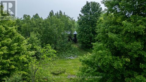 384 BIG CROSBY LAKE ROAD Rideau Lakes ON K0G1X0