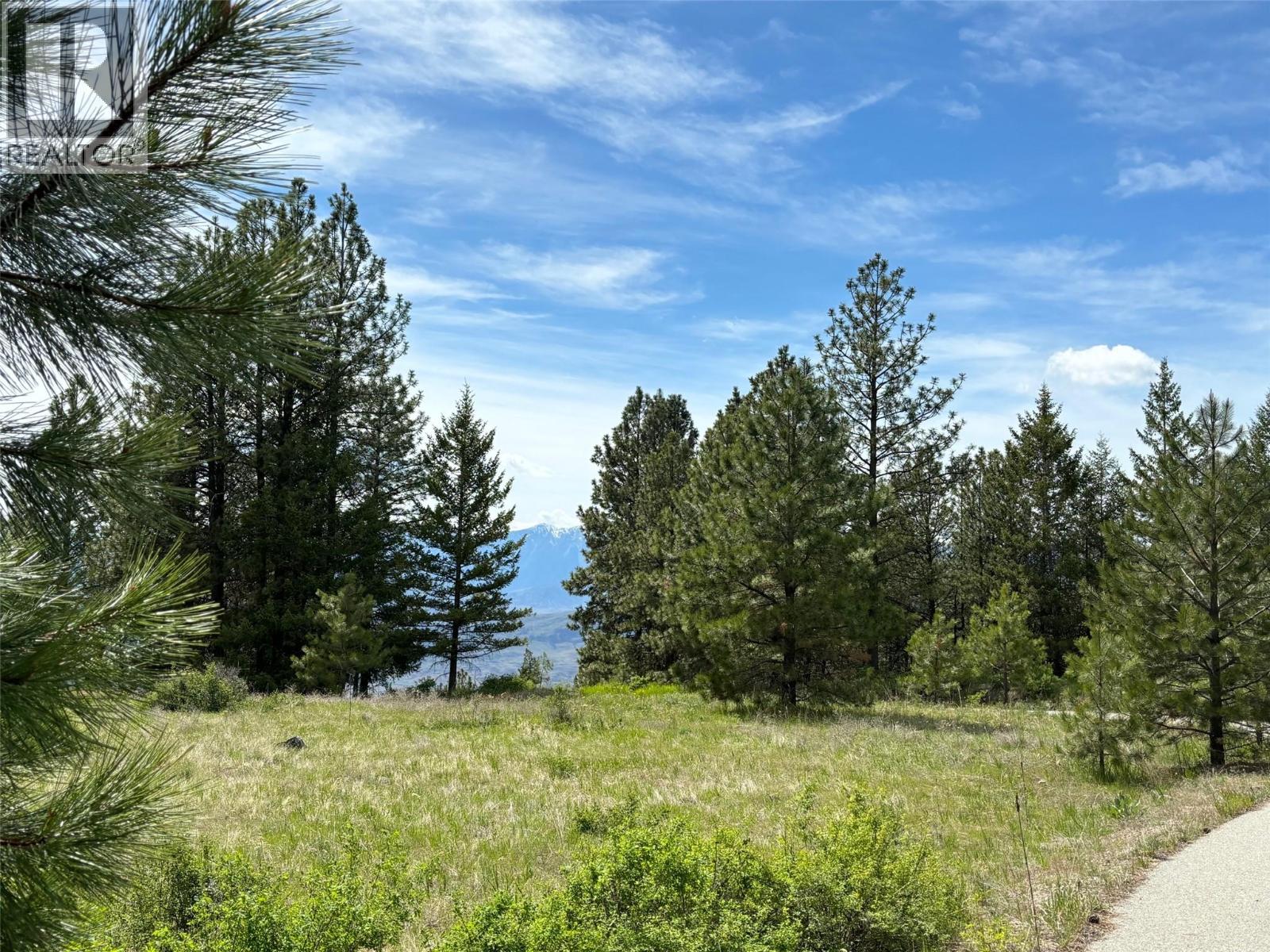 500 Sasquatch Trail
