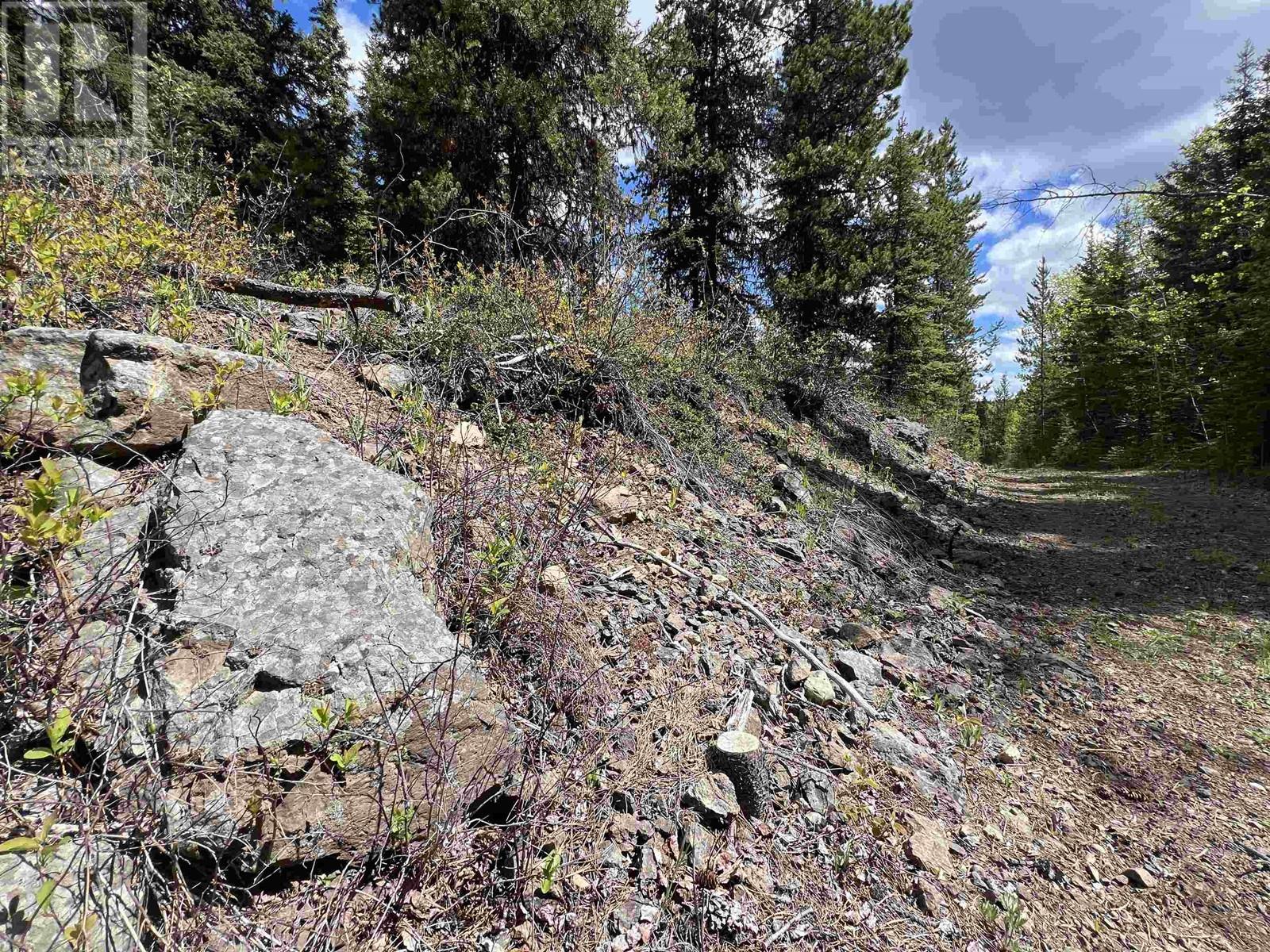 SE 1/4 DL 2466 TCHESINKUT LAKE
