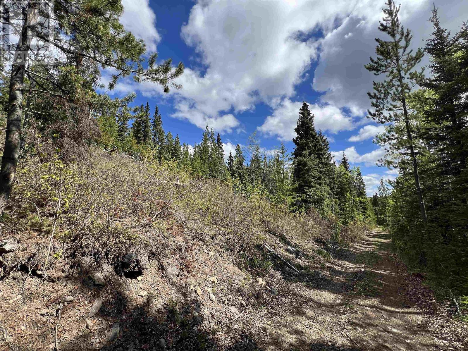 SE 1/4 DL 2466 TCHESINKUT LAKE