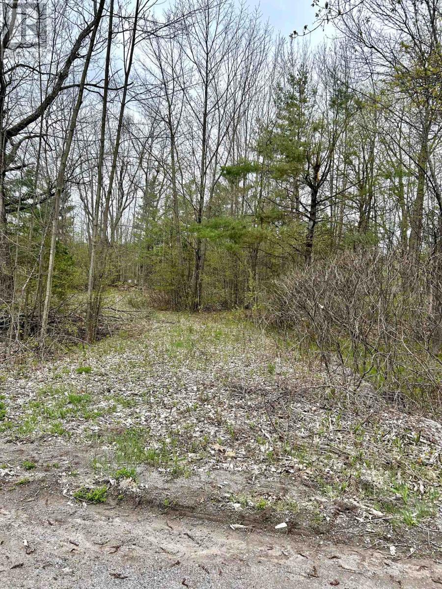 31 GLEN RIDGE ROAD