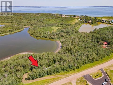14 Buffalo Way Rural Stettler No. 6, County of AB T0C3B0