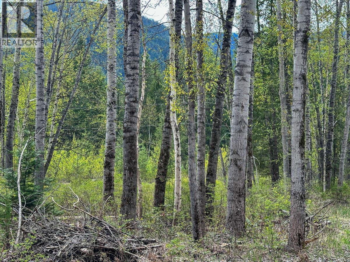 Highway 6 Lot# 4