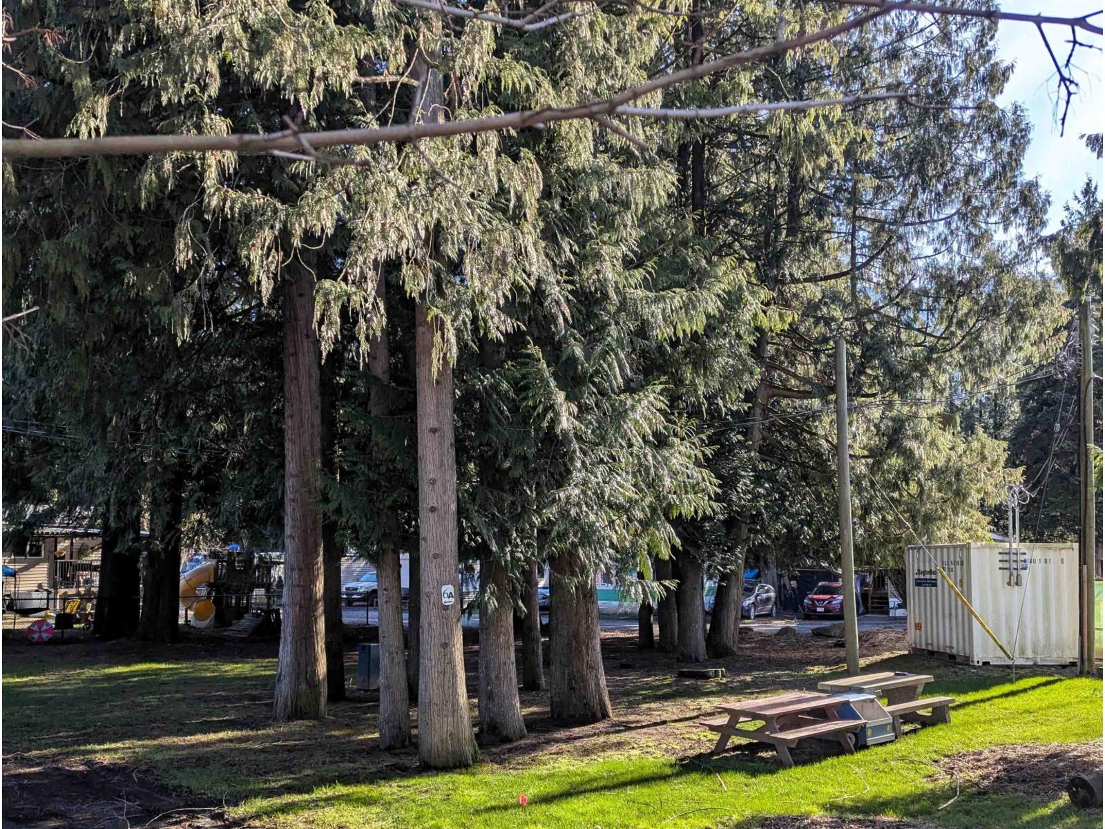 10 52604 YALE ROAD|Rosedale