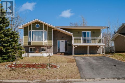 29 Morgan Drive Gander NF A1V2H6