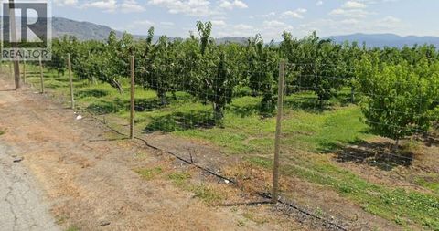 10307 26th Avenue Osoyoos BC V0H1V1