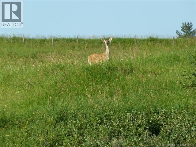 15, 420069 Range Road 284