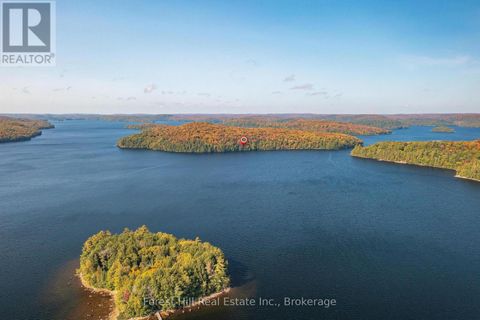0 BEAR ISLAND Dysart et al (Havelock) ON P0A1E0