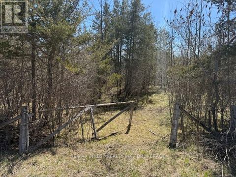 580 LOVE ROAD Loyalist (Lennox and Addington - South) ON K0H2H0