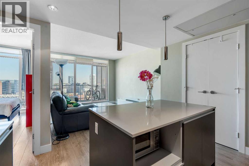 1501, 1122 3 Street SE