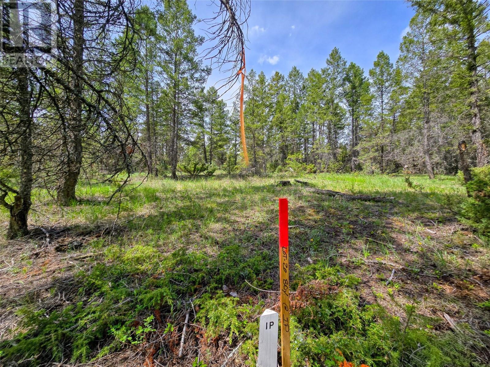 Lot 31 ELKHORN Boulevard