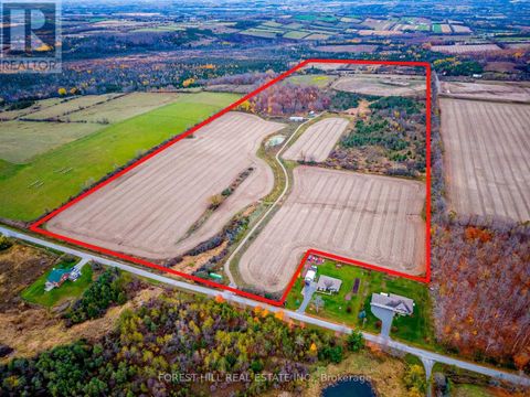 635 WILSON LINE Cavan Monaghan (Cavan Twp) ON L0A1C0