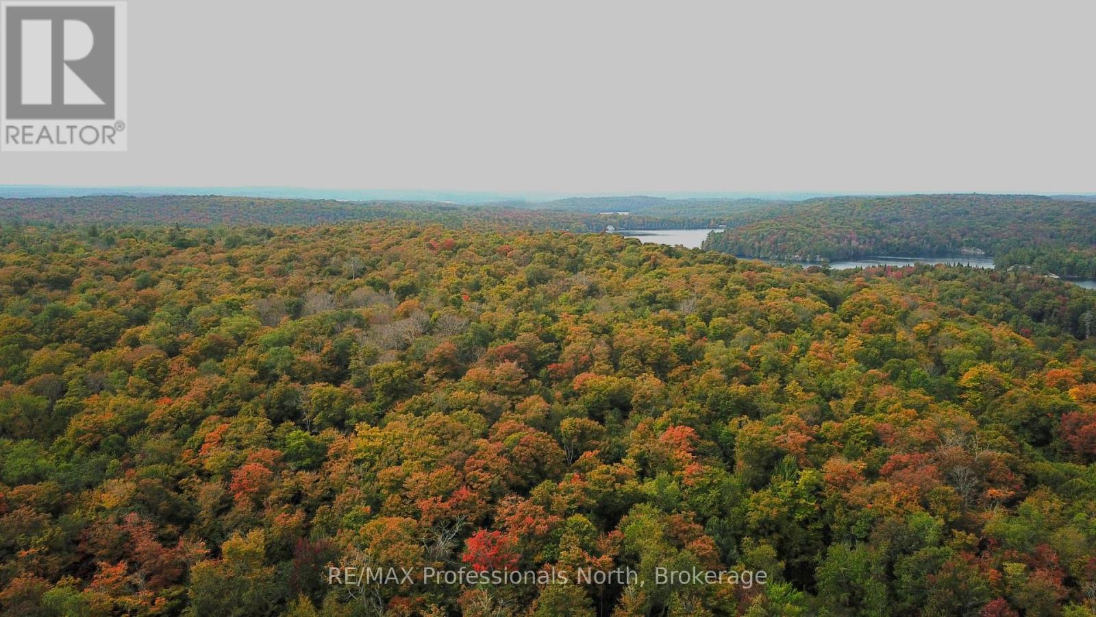 00 SOUTH HORN LAKE ROAD