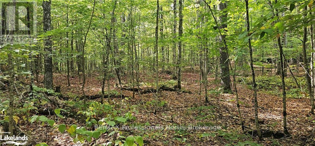 00 SOUTH HORN LAKE ROAD