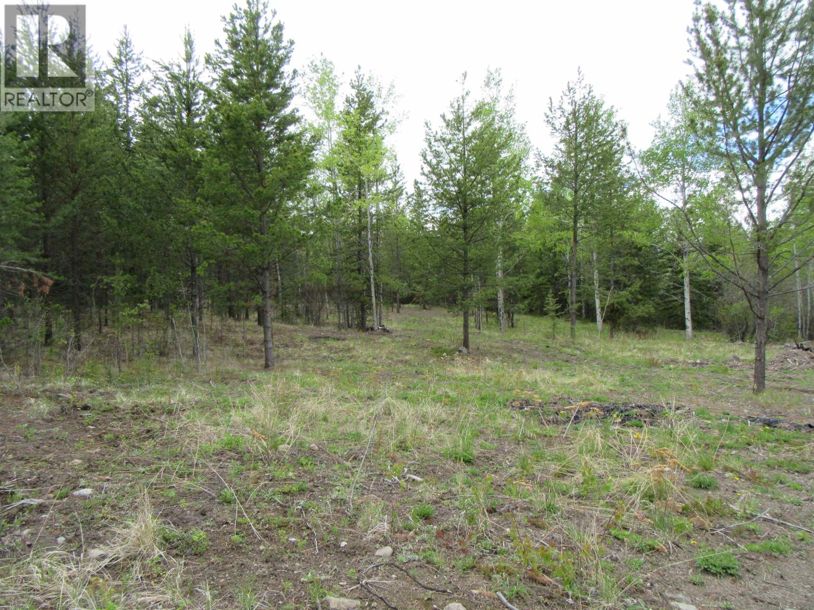 LOT B LONE BUTTE HORSE LAKE ROAD